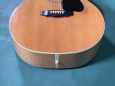 Guild F-50 BLD_11