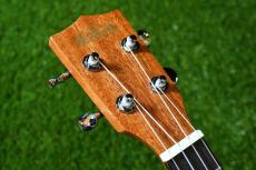 KALA KA-STGE-C Tenor_5