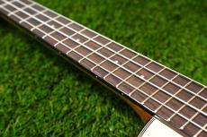 KALA KA-STGE-C Tenor_7