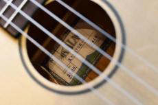 KALA KA-STGE-C Tenor_16