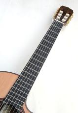 Jose Ramirez [ホセ・ラミレス] 【特典あり!】Estudio 140 CWE Cedar #146【スペイン製 本格派エレガット】【杉×ローズウッド総単板】【デュアルPU】_5