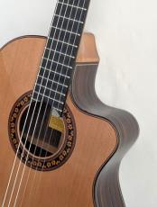 Jose Ramirez [ホセ・ラミレス] 【特典あり!】Estudio 140 CWE Cedar #146【スペイン製 本格派エレガット】【杉×ローズウッド総単板】【デュアルPU】_8
