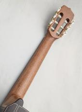 Jose Ramirez [ホセ・ラミレス] 【特典あり!】Estudio 140 CWE Cedar #146【スペイン製 本格派エレガット】【杉×ローズウッド総単板】【デュアルPU】_11