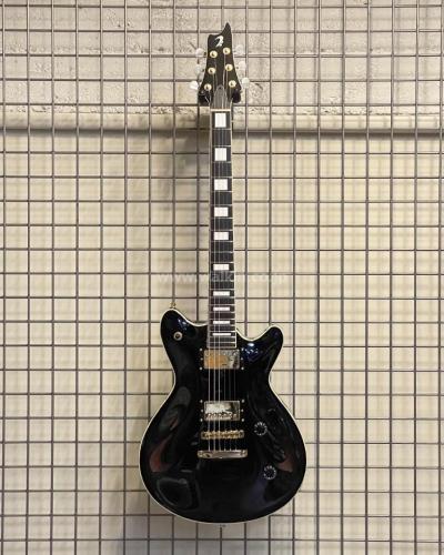 T's Guitar Arc Hollow-22 (Cusome Made)