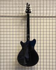T's Guitar Arc Hollow-22 (Cusome Made)_2