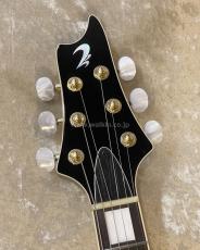 T's Guitar Arc Hollow-22 (Cusome Made)_5