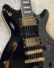 T's Guitar Arc Hollow-22 (Cusome Made)_6