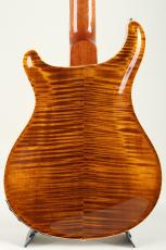 Paul Reed Smith [PRS] Hollowbody II Piezo 10Top 2016_5