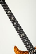 Paul Reed Smith [PRS] Hollowbody II Piezo 10Top 2016_7