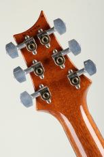 Paul Reed Smith [PRS] Hollowbody II Piezo 10Top 2016_10