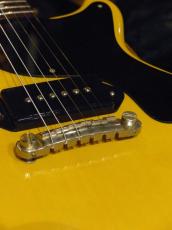 Burny '87 TV-55 Les Paul Junior DC_8