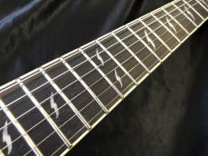 Epiphone Les Paul Custom Prophecy EX_5