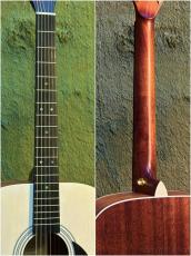 Stafford 【初心者おすすめ】SF-3F White Top【PU搭載】_7