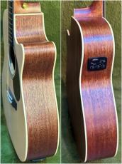 Stafford 【初心者おすすめ】SF-3FC White Top【PU搭載】_8