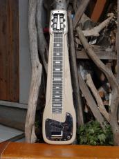 Fender Champion_3