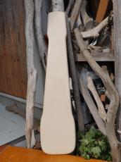 Fender Champion_4