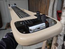 Fender Champion_5