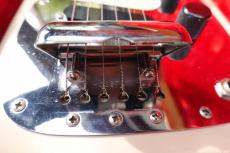 Fender Champion_7