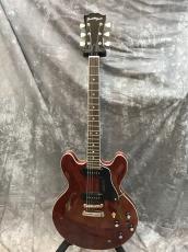 Seventy Seven Guitars EXRUBATO-STD/S-JT_2