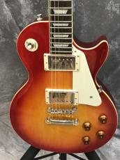 Epiphone Les Paul Standard_5