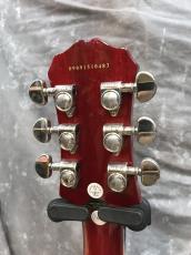 Epiphone Les Paul Standard_6