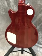 Epiphone Les Paul Standard_7