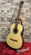 パコ・カスティージョ　Paco Castillo Model:201  松・サペリ 新品_2