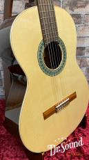 パコ・カスティージョ　Paco Castillo Model:201  松・サペリ 新品_3