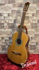 パコ・カスティージョ　Paco Castillo Model:201  杉・サペリ 新品_2