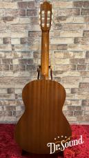 パコ・カスティージョ　Paco Castillo Model:201  杉・サペリ 新品_4