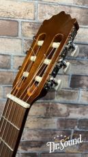 パコ・カスティージョ　Paco Castillo Model:201  杉・サペリ 新品_6