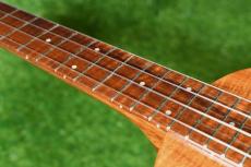 LEHUA UKULELE UKC 4A Concert【S/N1477】_7