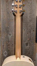 Ibanez AAM370E 【エレアコ】_8