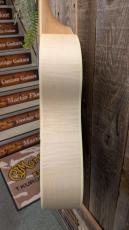 Ibanez AAM370E 【エレアコ】_10