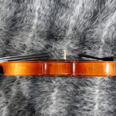 Horatio Luca A100 Viola 16inchi Outfit_6