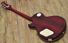 Epiphone Les Paul Standard_2