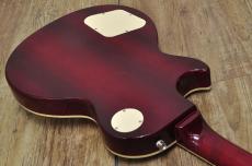 Epiphone Les Paul Standard_11