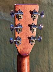 Stafford 【初心者おすすめ】SF-3F BS_6