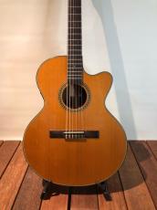 Furch Guitars FN23CR(2004年製)