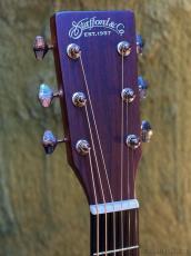 Stafford 【初心者おすすめ】SF-3F CS_5