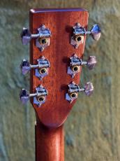 Stafford 【初心者おすすめ】SF-3F CS_6