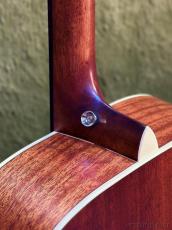 Stafford 【初心者おすすめ】SF-3F CS_9