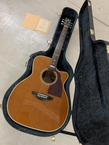 Shelly Handcrafted by K.Yairi  SY-M20 Toshiaki Usui ピックアップ付き!