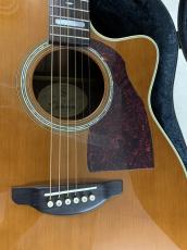 Shelly Handcrafted by K.Yairi  SY-M20 Toshiaki Usui ピックアップ付き!_3