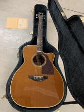 Shelly Handcrafted by K.Yairi  SY-M20 Toshiaki Usui ピックアップ付き!_4