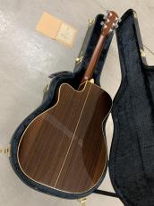 Shelly Handcrafted by K.Yairi  SY-M20 Toshiaki Usui ピックアップ付き!_8