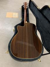 Shelly Handcrafted by K.Yairi  SY-M20 Toshiaki Usui ピックアップ付き!_10