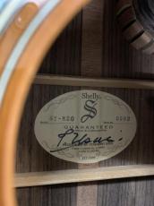 Shelly Handcrafted by K.Yairi  SY-M20 Toshiaki Usui ピックアップ付き!_15