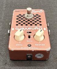 EBS DynaVerb Guitar edition_4