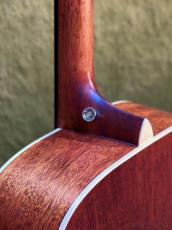 Stafford 【初心者おすすめ】SF-3F NT_9